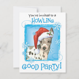Christmas American Hairless Terrier Invitation