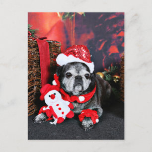 Christmas - Angel - Pug Holiday Postcard