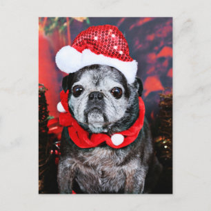 Christmas - Angel - Pug Holiday Postcard