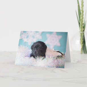 Christmas Angel Puppy Holiday Card