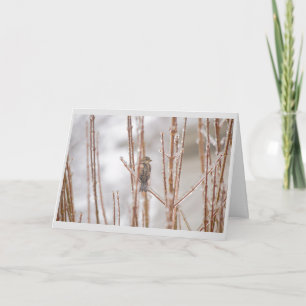 Christmas Animal Bird Sparrow on an Iced Branch Holiday Card
