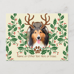 Christmas Antlers For Dog / Cat Personalize Photo Holiday Postcard