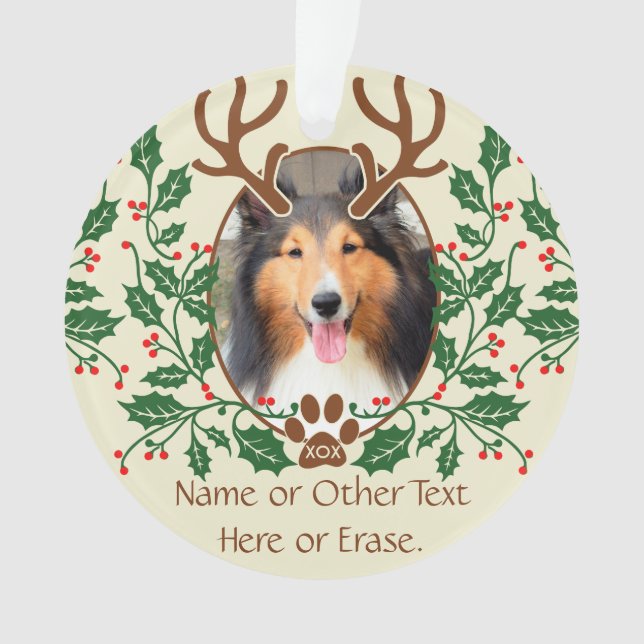Christmas Antlers For Dog / Cat Personalize Photo Ornament (Front)
