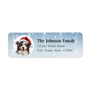 Christmas Australian Shepard Retourner l'adresse É