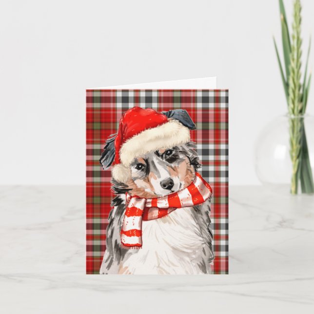 Christmas Australian Shepherd and Red Plaid Holiday Card (Front)