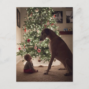 Christmas Baby and Dog Best Friend Holiday Postcard