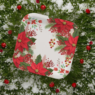 Christmas baby shower festive   paper plate