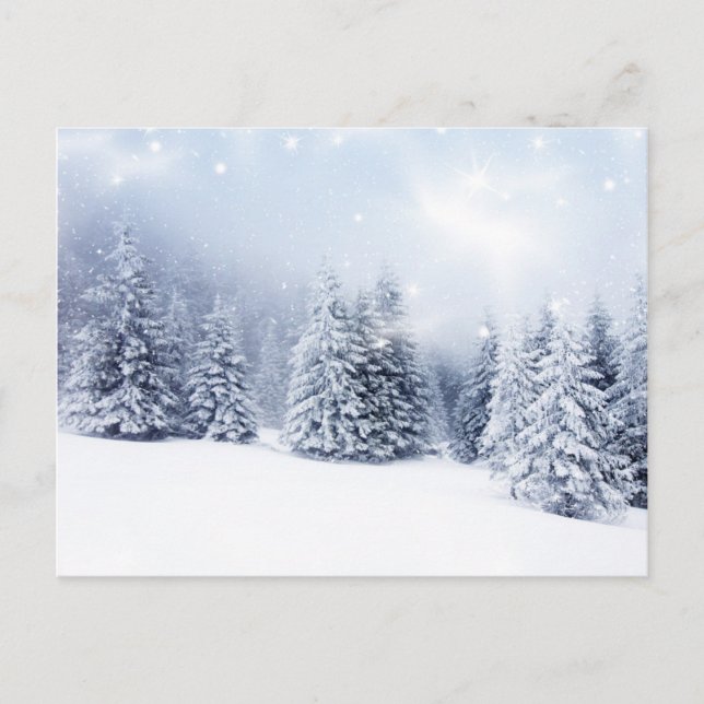 Christmas Background With Snowy Fir Trees 2 Holiday Postcard (Front)