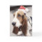 Christmas Basset Hound in Santa Hat Greeting Card