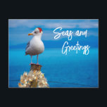 Christmas Beach Seas and Greetings Seagull Ocean Postcard<br><div class="desc">This design may be personalized by choosing the Edit Design option. You may also transfer onto other items. Contact me at colorflowcreations@gmail.com or use the chat option at the top of the page if you wish to have this design on another product or need assistance. See more of my designs...</div>