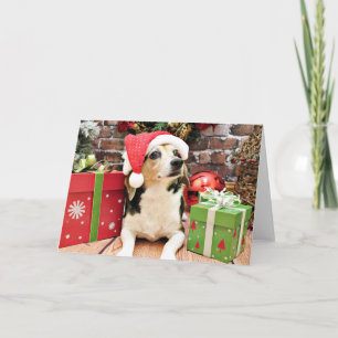 Christmas - Beagle - Bailey Holiday Card