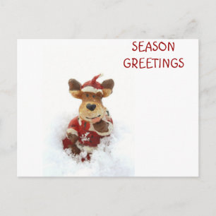 Christmas Bear In The Snow Holiday Postcard