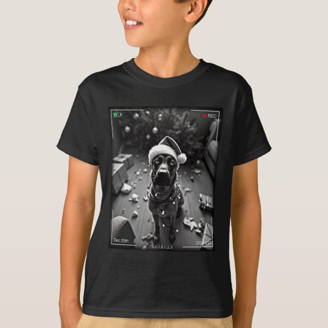 Christmas Belgian Malinois Caught On Camera  T-Shirt (Front)