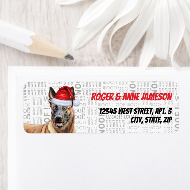 Christmas Belgian Malinois Dog Adresse de vacances (En situation)
