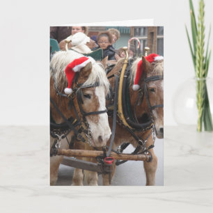 Christmas Belgians Holiday Card