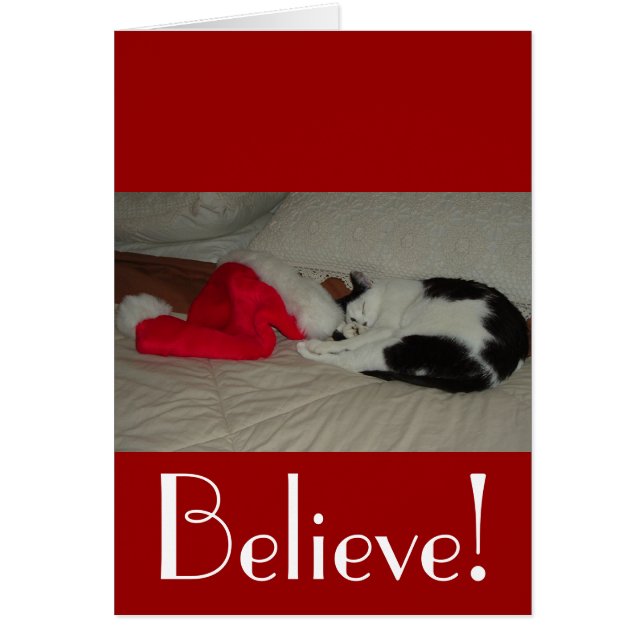 Christmas Believe Kitty Cat (Front)