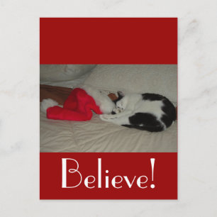 Christmas Believe Kitty Cat Holiday Postcard