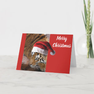 Christmas Bengal Tiger Holiday Card
