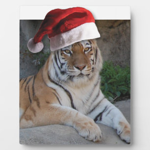 Christmas Bengal Tiger Plaque