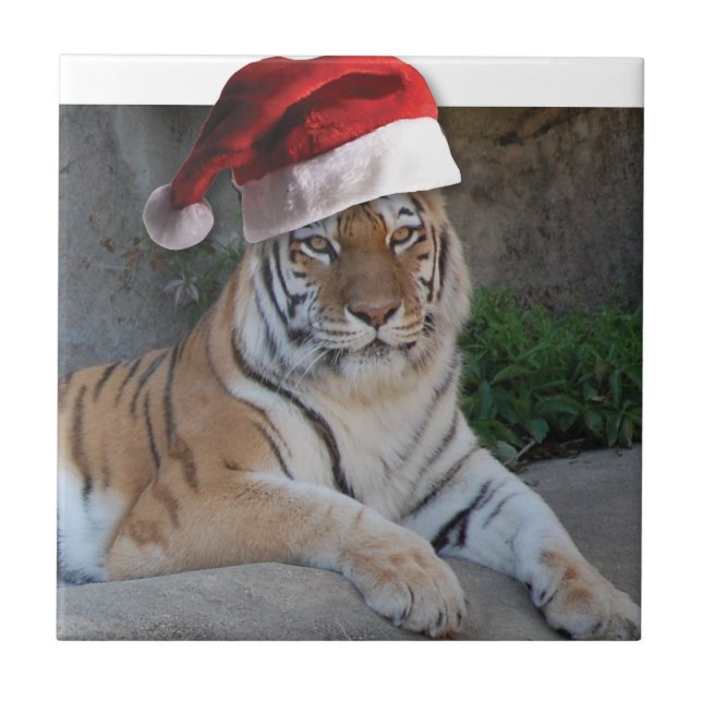 Christmas Bengal Tiger Tile (Front)
