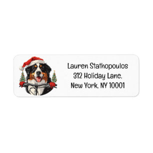 Christmas Bernese Mountain Dog Biking