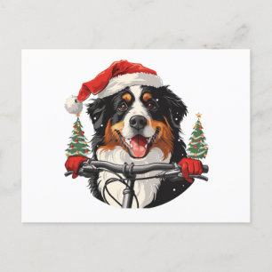Christmas Bernese Mountain Dog Biking Postcard