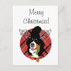 Christmas Bernese mountain Dog Gift Card