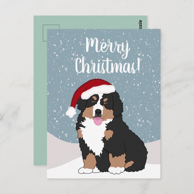 Christmas Bernese mountain Dog  Postcard (Front/Back)