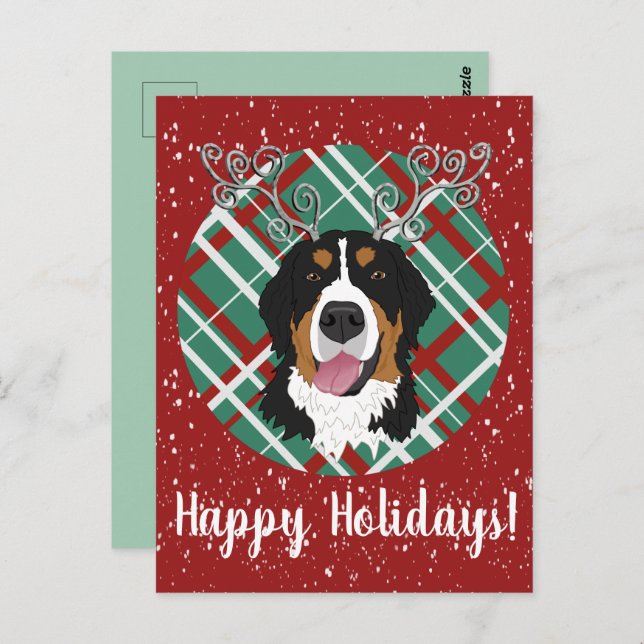 Christmas Bernese Mountain Dog  Postcard (Front/Back)