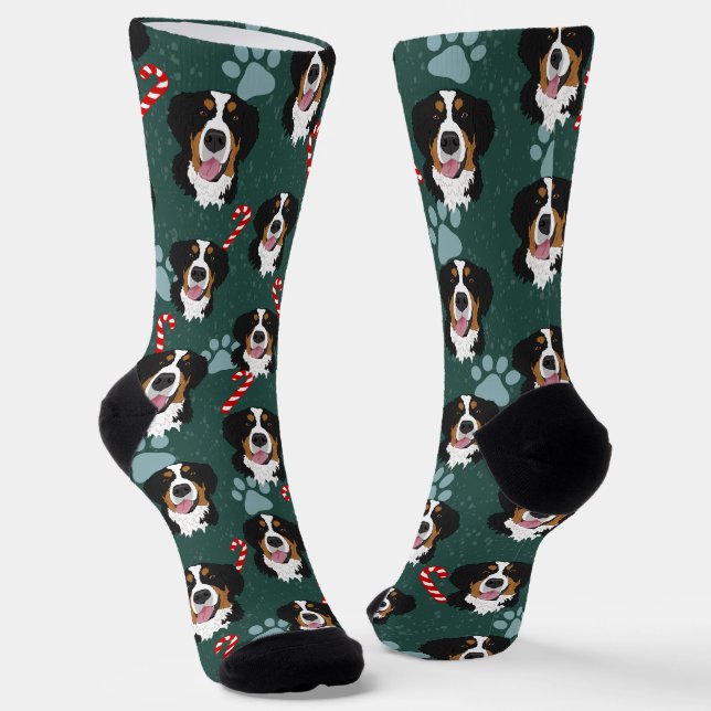 Christmas Bernese Mountain Dog Socks (Angled)