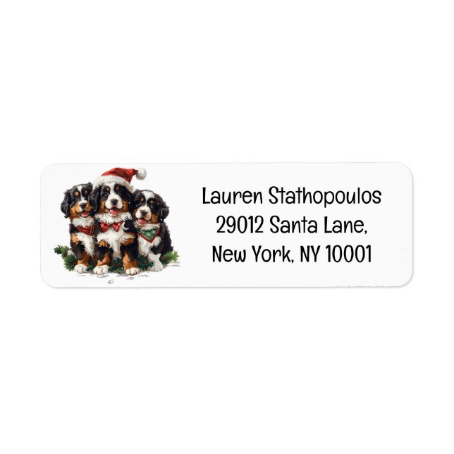 Christmas Bernese Mountain Dogs (Front)