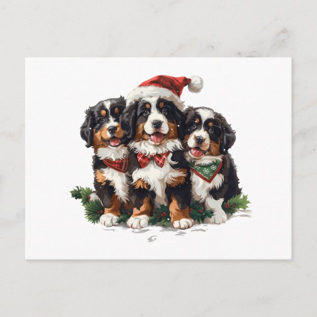 Christmas Bernese Mountain Dogs Holiday Postcard (Front)