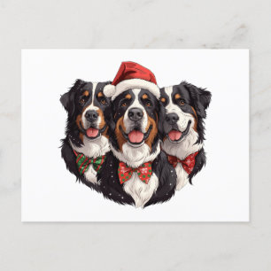 Christmas Bernese Mountain Dogs Postcard