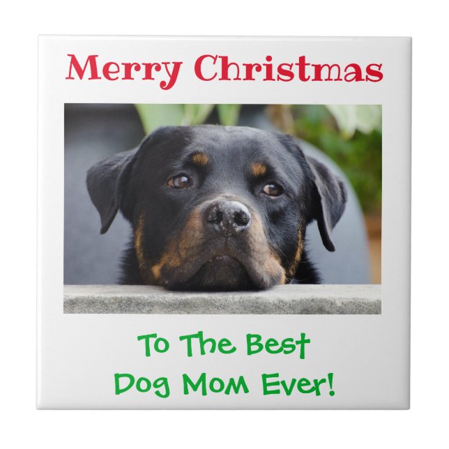 Christmas Best Dog Mom Ever Pet Photo Tile (Front)