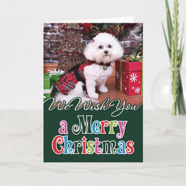 Christmas - Bichon Frise - Mia Holiday Card (Front)