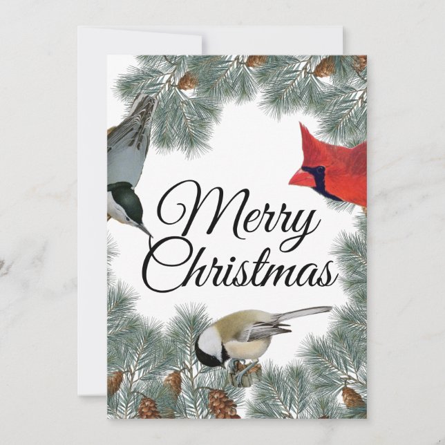 Christmas Bird Cardinal Nuthatch Chickadee Pine  Holiday Card (Front)