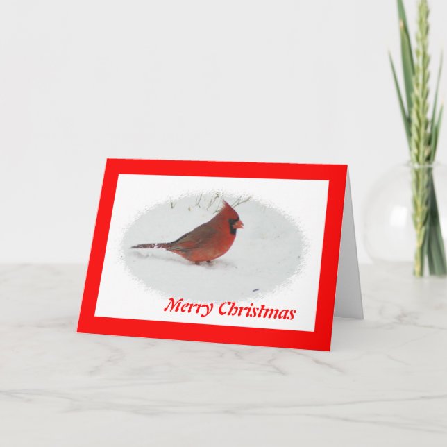 Christmas Bird Holiday Card (Front)