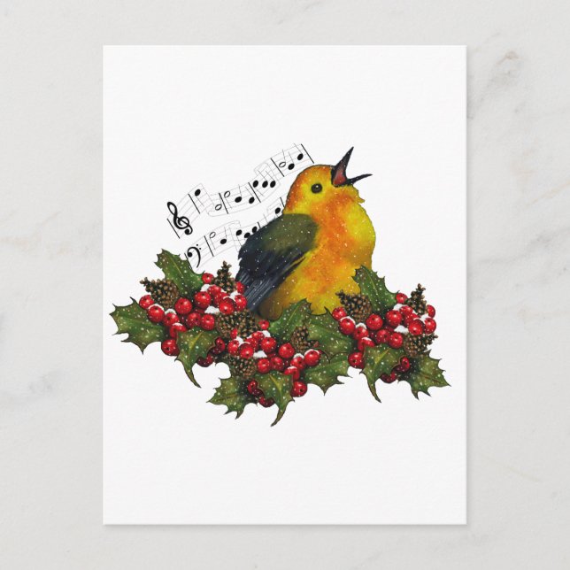 Christmas Bird Singing With Hollly, Berries Holiday Postcard (Front)