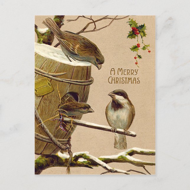 Christmas Bird Sparrow Birdhouse Holly Holiday Postcard (Front)