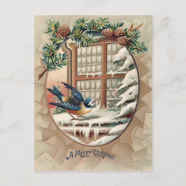 Christmas Bird Tree Pine Cone Holiday Postcard (Front)