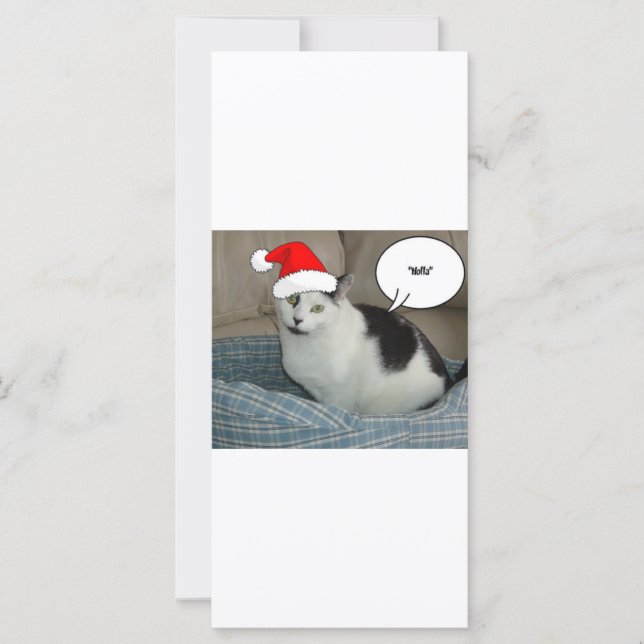 Christmas Black and White Kitten (Front)