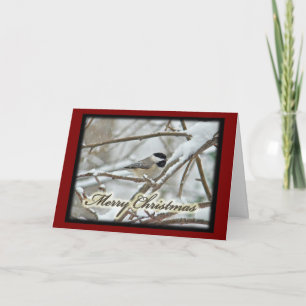Christmas Black Capped Chickadee in Snow Holiday Card