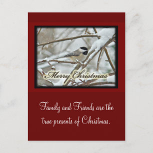 Christmas Black Capped Chickadee in Snow Holiday Postcard