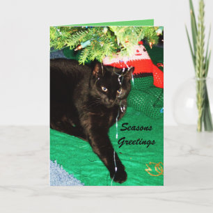 CHRISTMAS BLACK CAT card