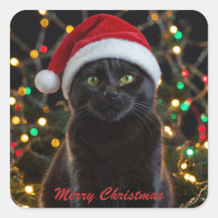 Christmas Black Cat - Santa Hat Personalized photo Square Sticker