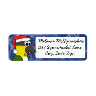 Christmas Black Headed Caique