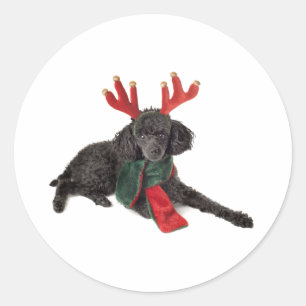 Christmas Black Toy Poodle Dog Dressed as Reindeer Classic Round Sticker