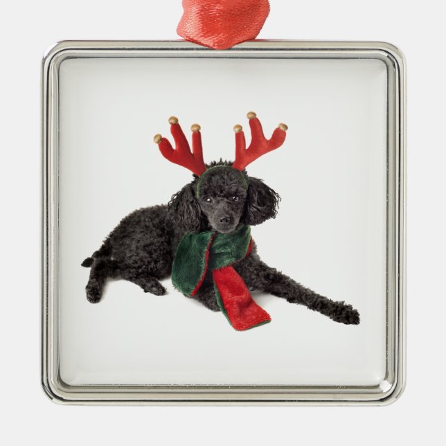 Christmas Black Toy Poodle Dog Dressed as Reindeer Metal Ornament (Front)