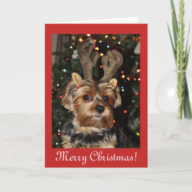 Christmas blessings,Yorkshire terrier dog puppy Holiday Card (Front)