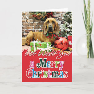 Christmas - Bloodhound - Penney Holiday Card